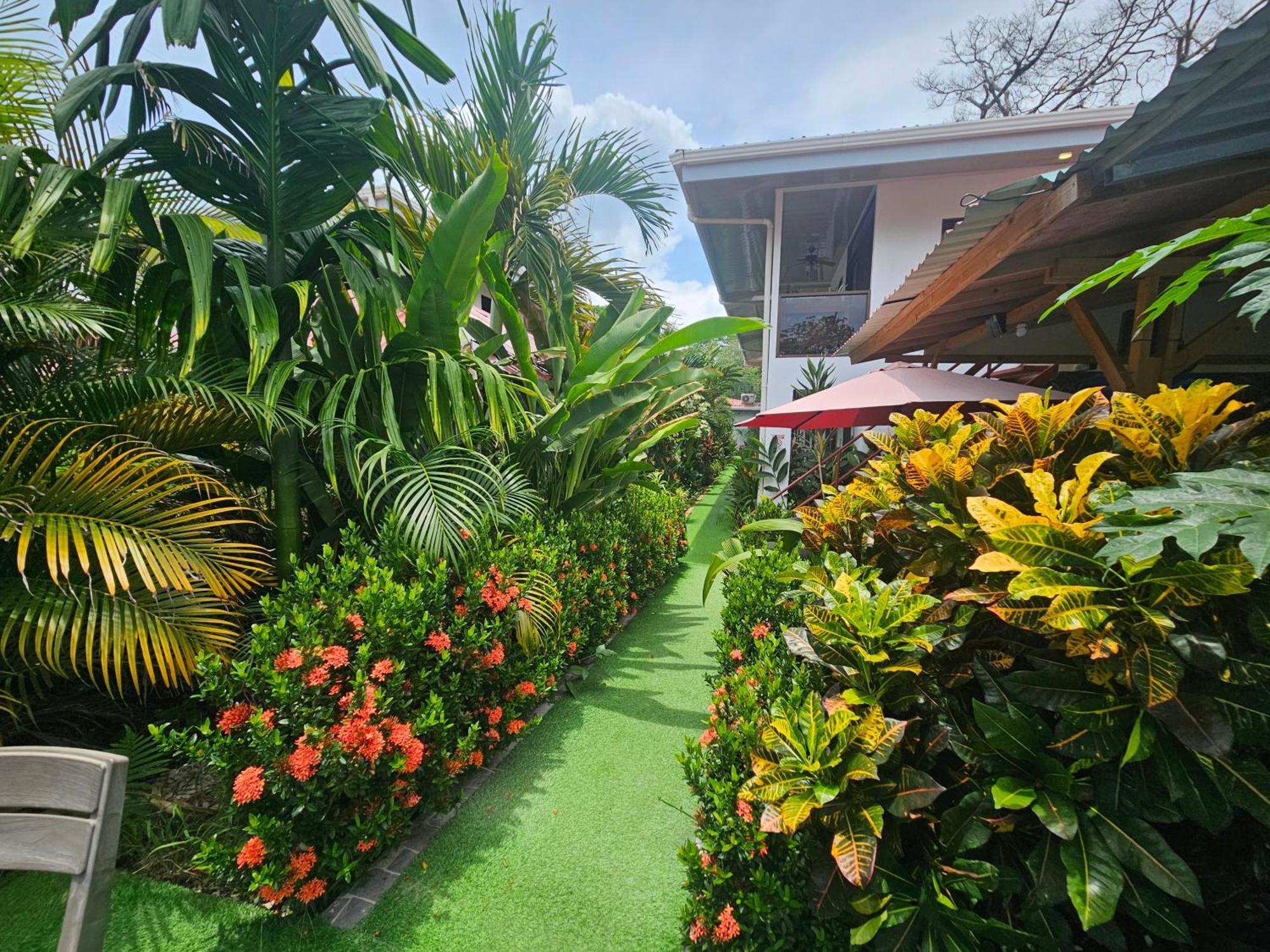 Ballena Rey Hotel Uvita Εξωτερικό φωτογραφία